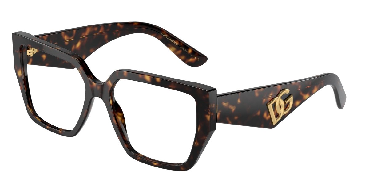 0DG3373 - Dolce & Gabbana - Tortoise - (Havana 502) - 53 - 16 - 145 MM - Ardor Eyewear 8056597843720