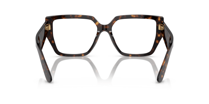 0DG3373 - Dolce & Gabbana - Tortoise - (Havana 502) - 53 - 16 - 145 MM - Ardor Eyewear 8056597843720