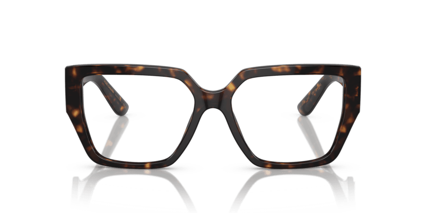 0DG3373 - Dolce & Gabbana - Tortoise - (Havana 502) - 53 - 16 - 145 MM - Ardor Eyewear 8056597843720