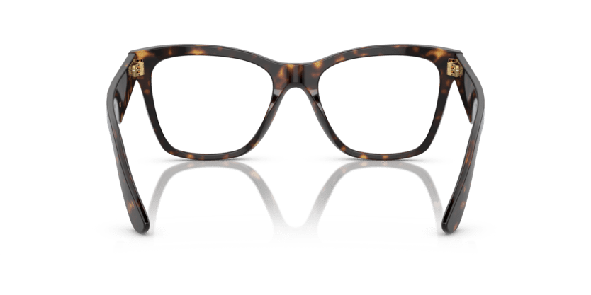 0DG3374 - Dolce & Gabbana - Tortoise - (Havana 502) - 53 - 18 - 145 MM - Ardor Eyewear 8056597844307