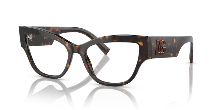 Tortoise (Havana - 502) 8056597948555
