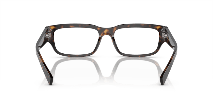 0DG3381 - Dolce & Gabbana - Tortoise - (Havana 502) - 53 - 17 - 145 MM - Ardor Eyewear 8056597946155