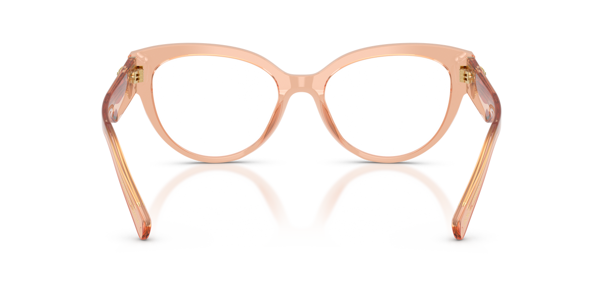 0DG3440 Nude Transparent rear view image 3 barcode 8056262834596