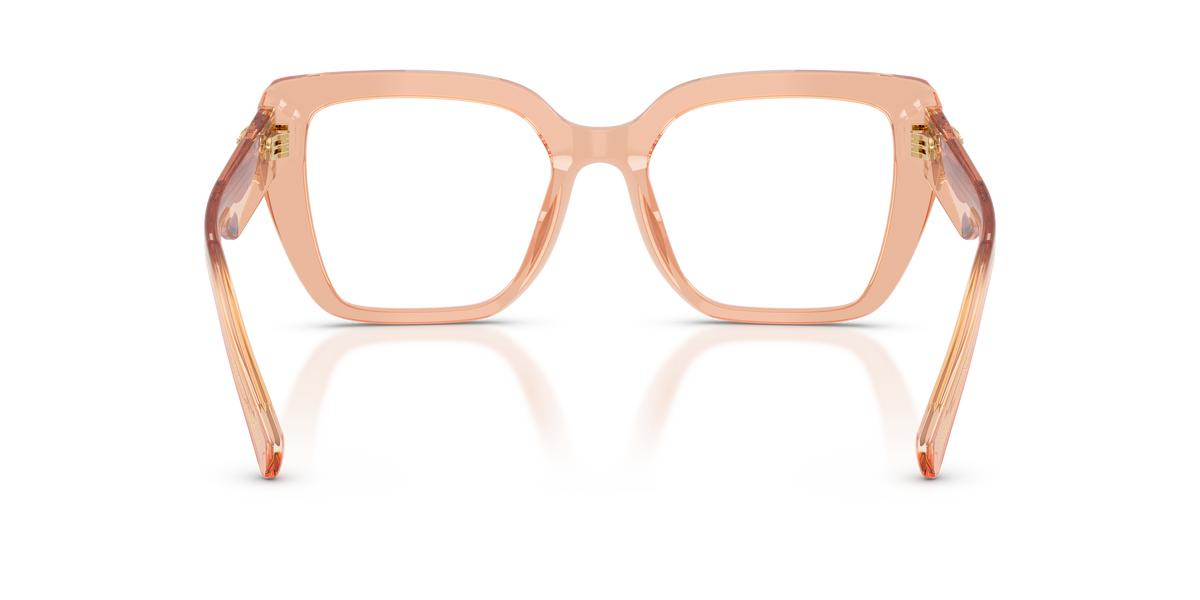 0DG3441 Nude Transparent rear view image 3 barcode 8056262834909