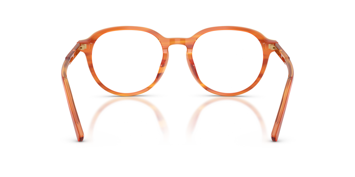 0DG3444 Camel On Striped Ginger rear view image 3 barcode 8056262838068