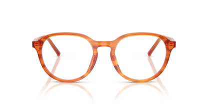 0DG3444 Camel On Striped Ginger front view image 4 barcode 8056262838075