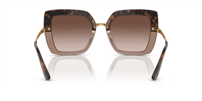 0DG4373 - Dolce & Gabbana - (Havana On Transparent Brown) Brown Gradient Dark Brown - 52 - 21 - 140 MM - Ardor Eyewear 8056597185301