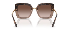 0DG4373 - Dolce & Gabbana - (Havana On Transparent Brown) Brown Gradient Dark Brown - 52 - 21 - 140 MM - Ardor Eyewear 8056597185301