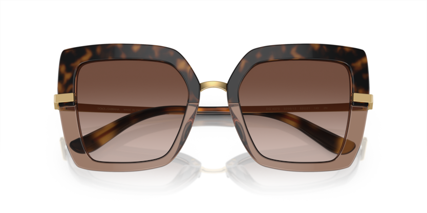 Havana On Transparent Brown - 0DG4373 8056597185301