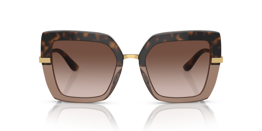 Havana On Transparent Brown - 0DG4373 8056597185301