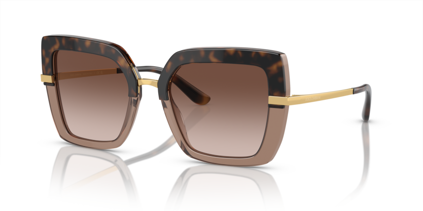 Havana On Transparent Brown - 0DG4373 8056597185301