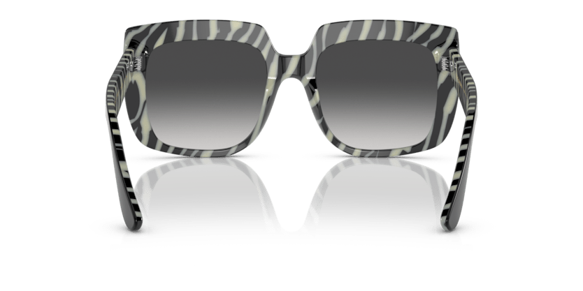 0DG4414 - Dolce & Gabbana - (Top Black On Zebra) Grey Gradient - 54 - 20 - 145 MM - Ardor Eyewear 8056597757300