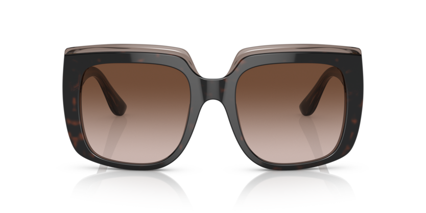 Havana On Transparent Brown - 0DG4414 8056597715294