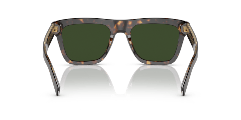 0DG4420 - Dolce & Gabbana - (Havana) Dark Green - 52 - 20 - 145 MM - Ardor Eyewear 8056597757805