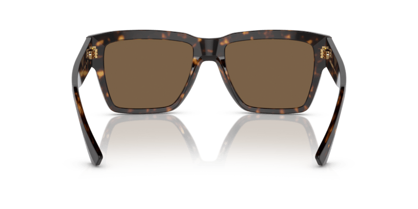 0DG4431 - Dolce & Gabbana - (Havana) Dark Brown - 55 - 18 - 145 MM - Ardor Eyewear 8056597842327