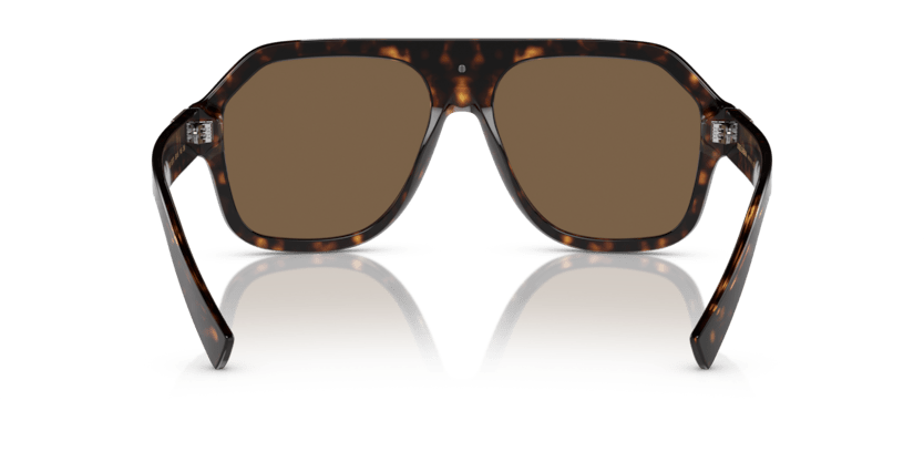 0DG4433 - Dolce & Gabbana - (Havana) Dark Brown - 58 - 16 - 145 MM - Ardor Eyewear 8056597849272