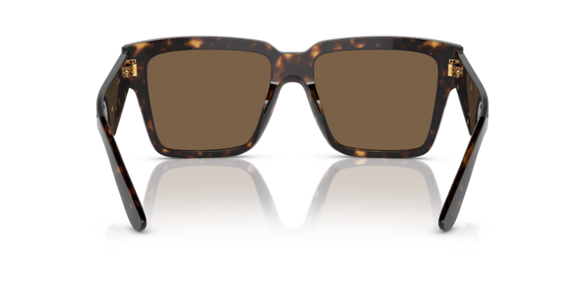 0DG4436 - Dolce & Gabbana - (Havana) Dark Brown - 55 - 17 - 145 MM - Ardor Eyewear 8056597840934