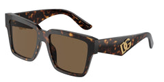 0DG4436 - Dolce & Gabbana - (Havana) Dark Brown - 55 - 17 - 145 MM - Ardor Eyewear 8056597840934