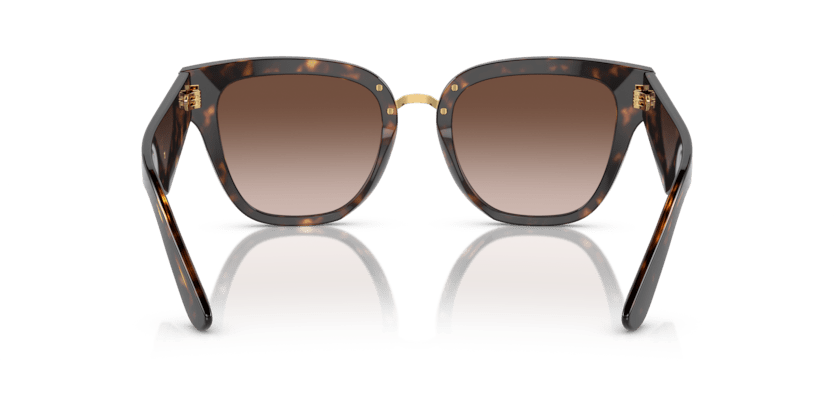 0DG4437 - Dolce & Gabbana - (Havana) Gradient Brown - 51 - 20 - 145 MM - Ardor Eyewear 8056597844482