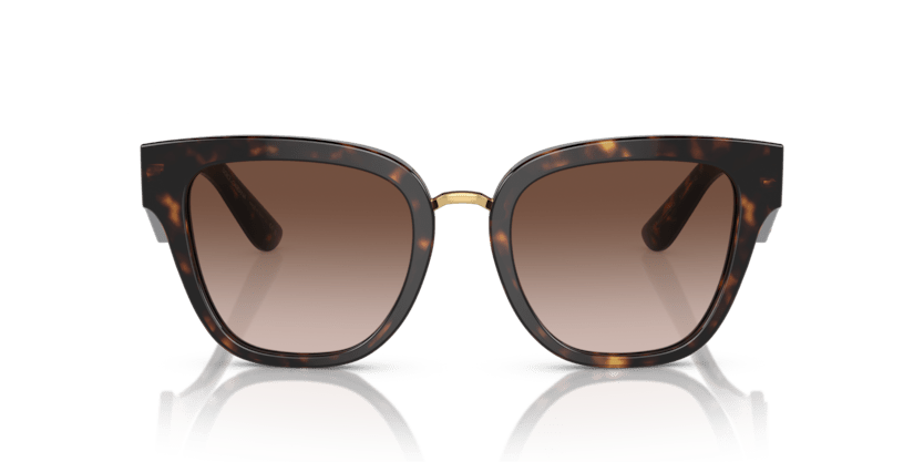 0DG4437 - Dolce & Gabbana - (Havana) Gradient Brown - 51 - 20 - 145 MM - Ardor Eyewear 8056597844482