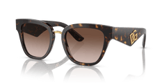 0DG4437 - Dolce & Gabbana - (Havana) Gradient Brown - 51 - 20 - 145 MM - Ardor Eyewear 8056597844482