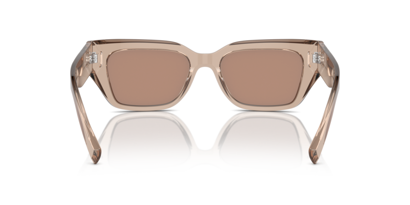 Transparent Camel - 0DG4462 8056262062098