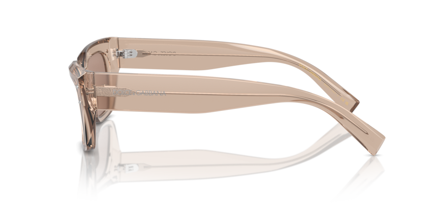 Transparent Camel - 0DG4462 8056262062098