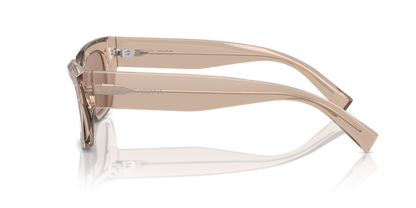 Transparent Camel - 0DG4462 8056262062098