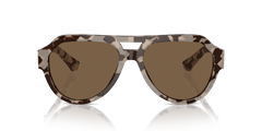 0DG4466 - Dolce & Gabbana - (Havana Beige) Dark Brown - 56 - 17 - 145 MM - Ardor Eyewear 8056262052464