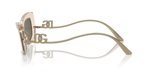 Transparent Camel - 0DG4467B 8056262082638