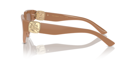 Full Camel - 0DG4469 8056262056448