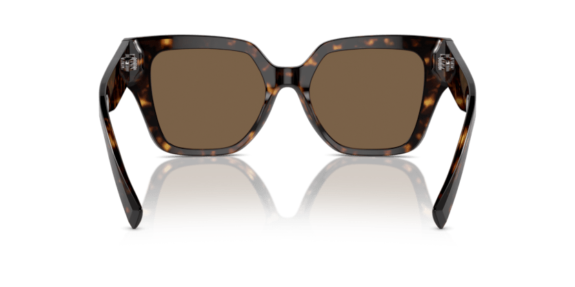 0DG4471 - Dolce & Gabbana - (Havana) Dark Brown - 52 - 18 - 145 MM - Ardor Eyewear 8056262061893