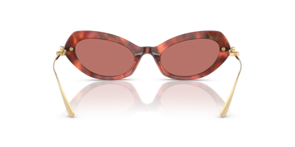 Havana Brown - 0DG4473 8056262254998