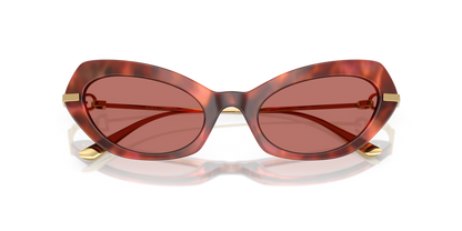 Havana Brown - 0DG4473 8056262254998