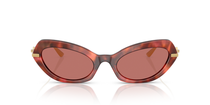 Havana Brown - 0DG4473 8056262254998