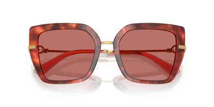 Havana Brown - 0DG4474 8056262255100