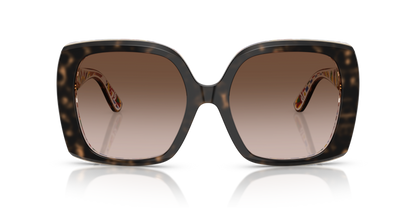 Havana On White Barrow - 0DG4475 8056262247488