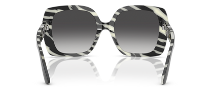 Black On Zebra - 0DG4475 8056262247495