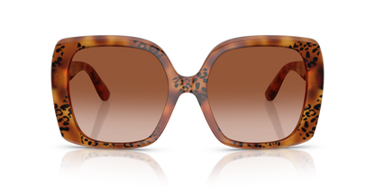 Havana Leo - 0DG4475 8056262247501