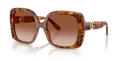 Havana Leo - 0DG4475 8056262247501