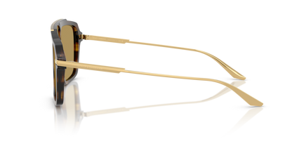 Striped Ochre - 0DG4477 8056262247808