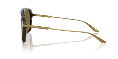 Striped Olive - 0DG4477 8056262247815