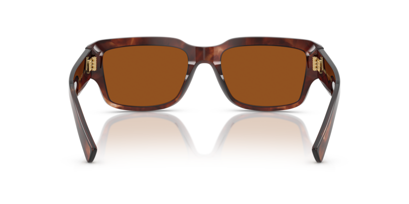 Dark Red Havana - 0DG4483 8056262249741