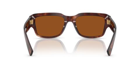 Dark Red Havana - 0DG4483 8056262249741