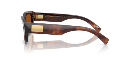 Dark Red Havana - 0DG4483 8056262249741