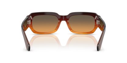0DG4485 Gradient Striped Brown rear view image 3 barcode 8056262880562