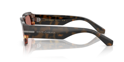 Havana Warm Brown - 0DG4485 8056262262450