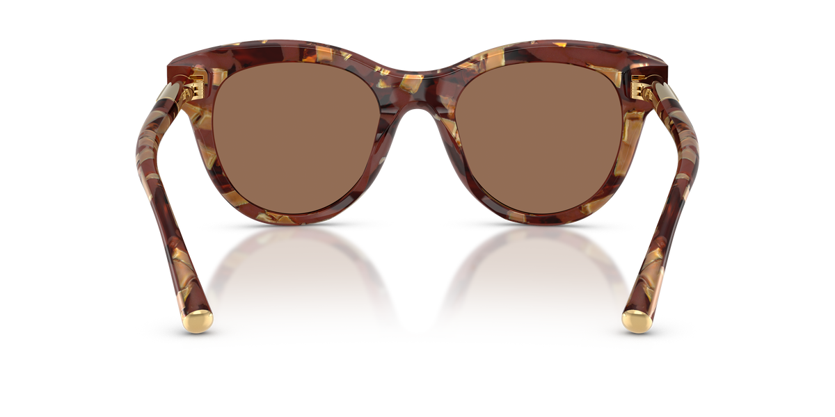 0DG4518 Havana Pearl Brown rear view image 3 barcode 8056262575420