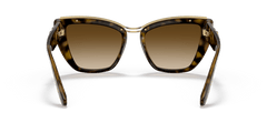 0DG6144 - Dolce & Gabbana - (Havana) Gradient Brown - 54 - 20 - 145 MM - Ardor Eyewear 8056597365284