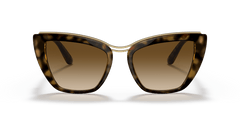 0DG6144 - Dolce & Gabbana - (Havana) Gradient Brown - 54 - 20 - 145 MM - Ardor Eyewear 8056597365284